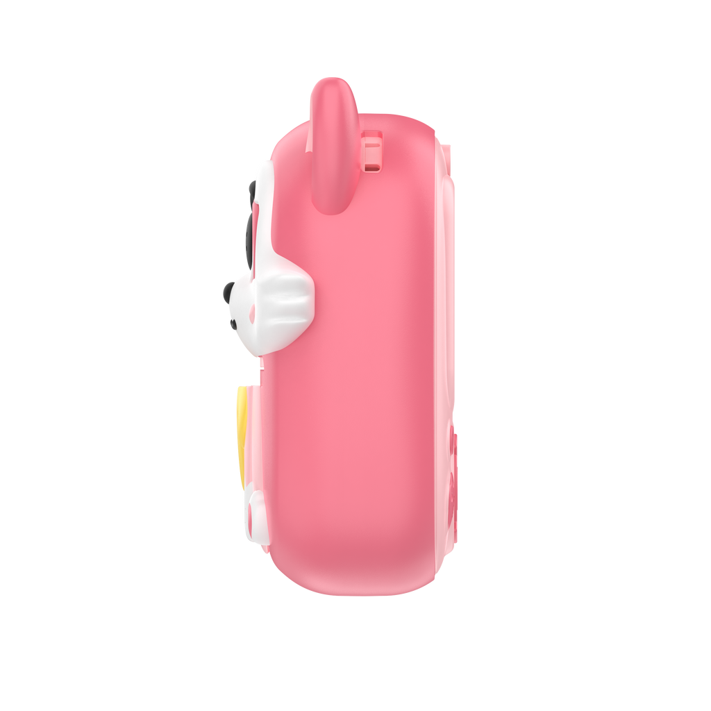 Cámara Diseño Zorrito